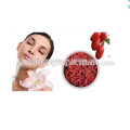 Ningxia Gou Qi Zi Chinês wolfberry Secas de bagas de goji Ningxia bagas goji frutos secos